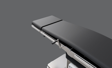 In built Kidney Bridge