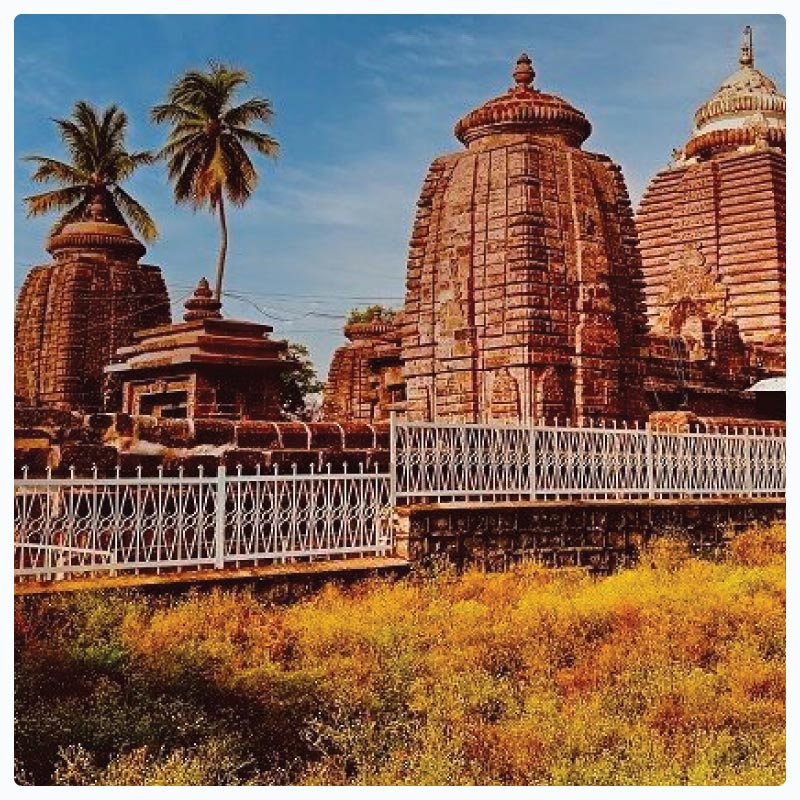 LED Surgical Light & OT Table Manufacturer Serving Kurnool