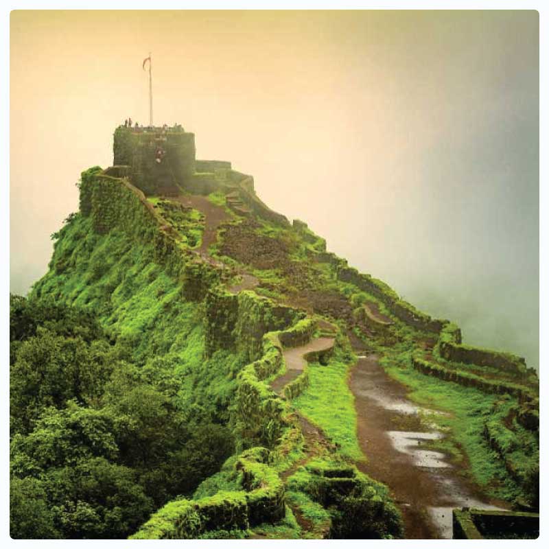 LED Surgical Light & OT Table Manufacturer Serving Satara